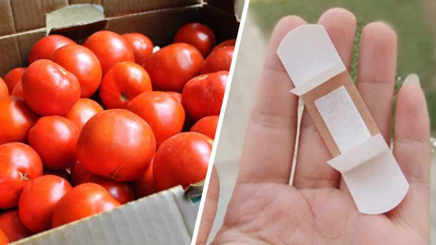 Зачем заклеивать помидоры пластырем? Повар раскрыл секрет, как это влияет на их сочность