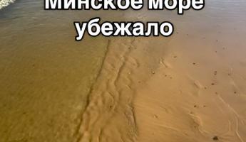 «Море убежало» — Белоруска показала, что случилось с пляжем под Минском из-за ремонта дамбы