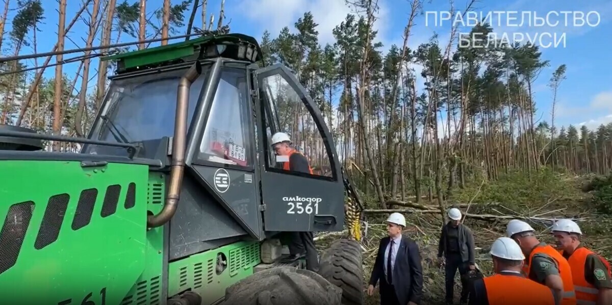 "Только троллейбусы не могу водить" — Глава Минлесхоза Беларуси показал свои права, "чтобы ни у кого не было сомнений"