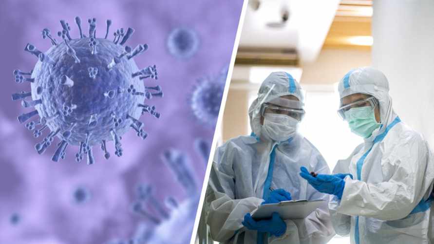 "Стал немножко другим" - В Минздраве предупредили белорусов о 3 опасных вирусах этой осенью, помимо COVID-19