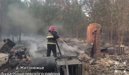 Так, по данным ведомства, в деревне Житонежье Буда-Кошелевского