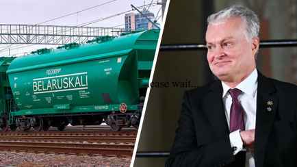 В Сейме обвинили президента Литвы Науседу в «связях» с белорусским калийным бизнесом. Чем грозит?