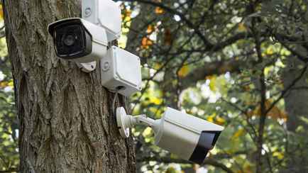 Минлесхоз пообещал устранить «серые места» системы видеонаблюдения в белорусских лесах и устроить круглосуточные дежурства