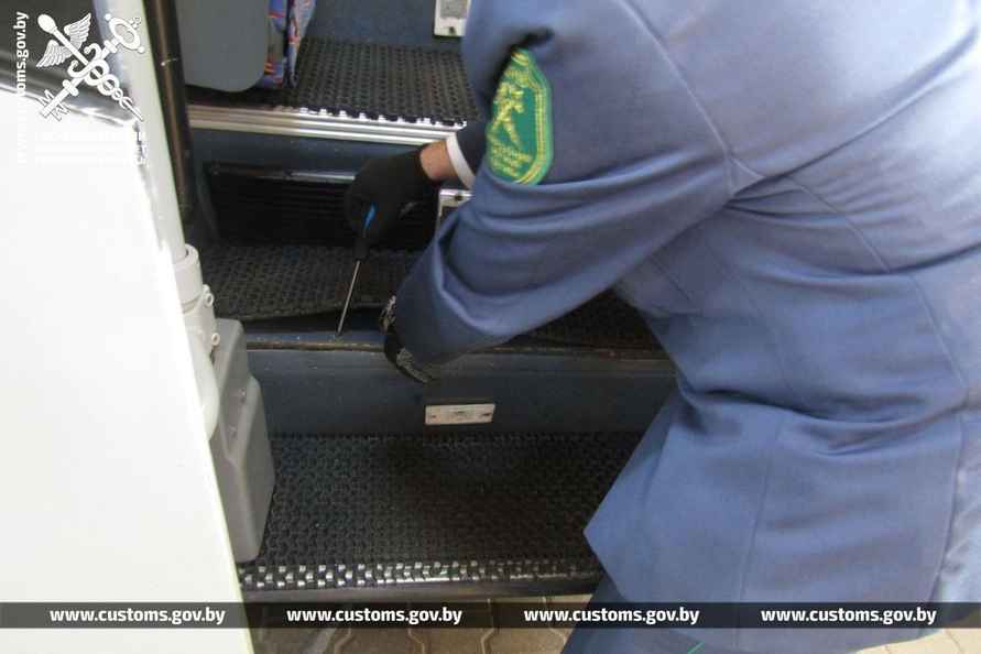 В рейсовом автобусе на границе с Польшей брестские таможенники нашли 19 королевских питонов