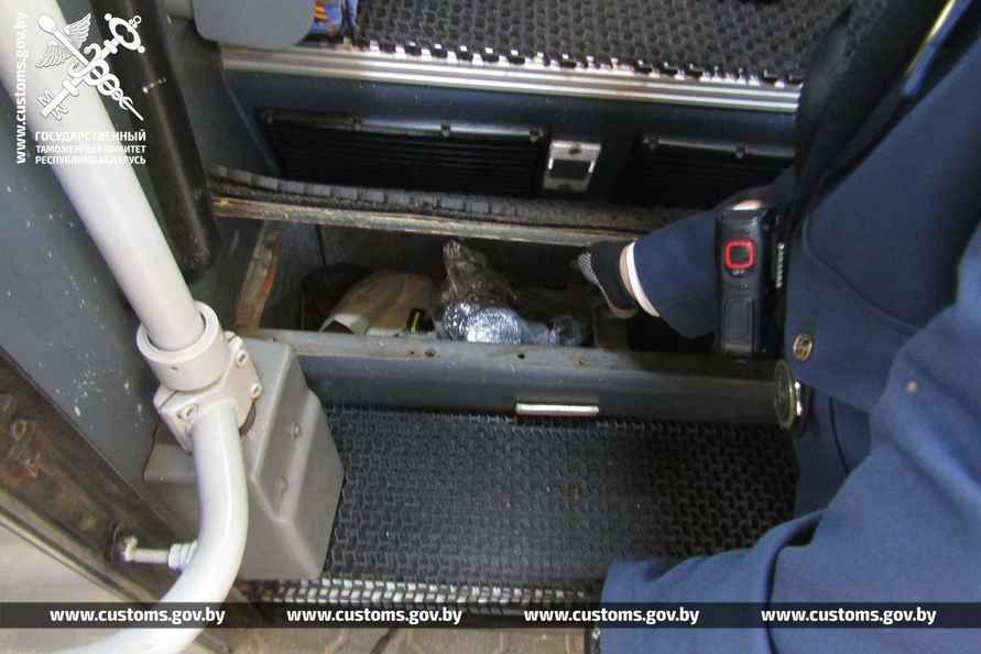 В рейсовом автобусе на границе с Польшей брестские таможенники нашли 19 королевских питонов