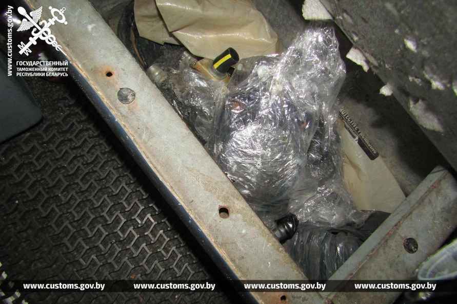 В рейсовом автобусе на границе с Польшей брестские таможенники нашли 19 королевских питонов