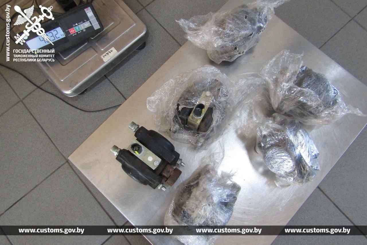 В рейсовом автобусе на границе с Польшей брестские таможенники нашли 19 королевских питонов