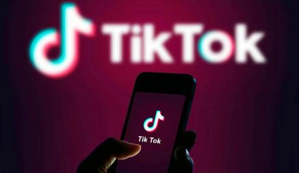 Жительница Гродно пожаловалась в милицию на родню за видео с её ребёнком в TikTok