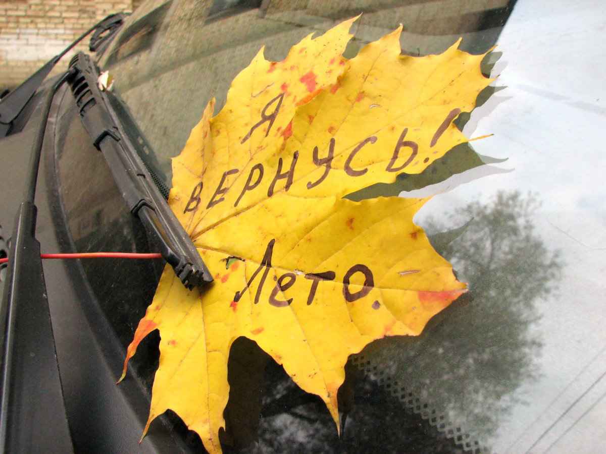 Красный уровень опасности объявили в двух областях Беларуси на 20-22 сентября. Когда ждать "прохладные воздушные массы"?