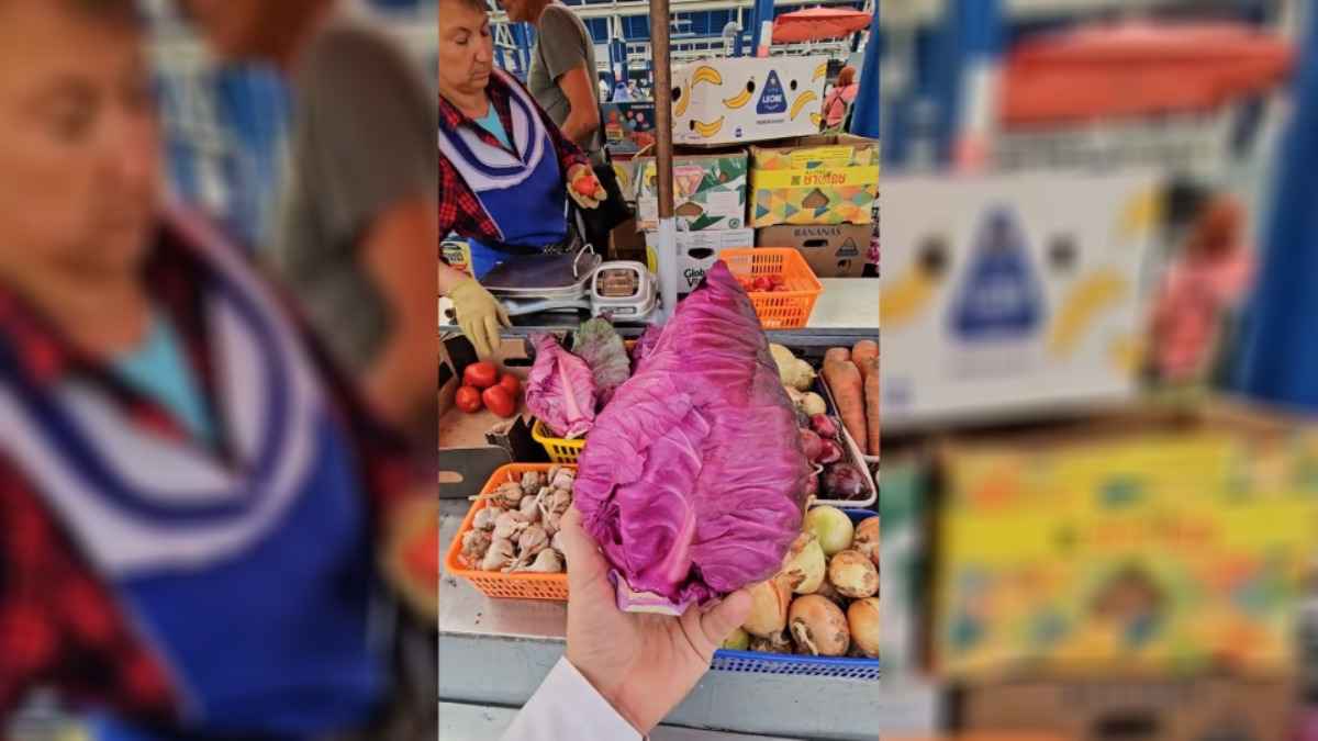В Минске на рынке начали продавать коническую капусту по 2,5 рубля. Чем удивит кроме формы и цвета?