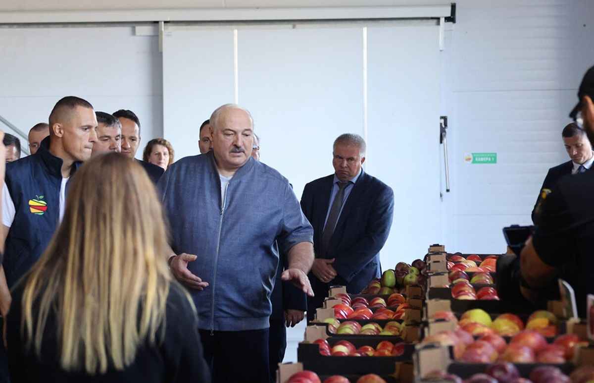 Фото: Администрация президента РБ