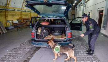 Плюс 10 позиций. В Беларуси расширили перечень товаров, которые нельзя провезти через границу «для личного пользования»