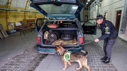 Плюс 10 позиций. В Беларуси расширили перечень товаров, которые нельзя провезти через границу «для личного пользования»