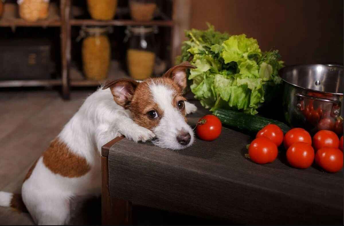 Фото иллюстрационное