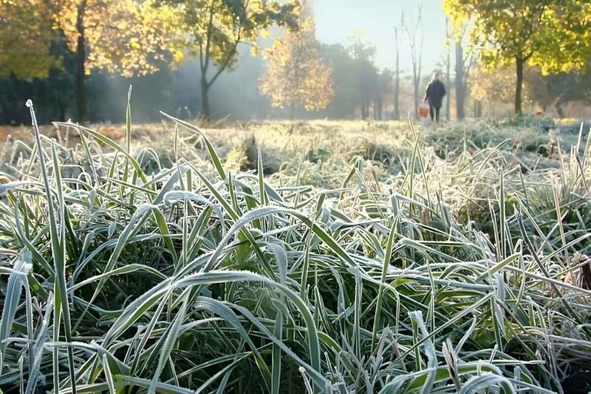 Фото иллюстрационное