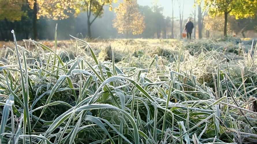 Фото иллюстрационное