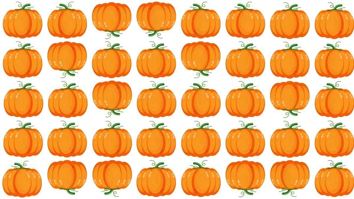 Этот осенний тест проходят только те, кто не боится вызовов. Найдите уникальную тыкву за 10 секунд