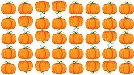 Этот осенний тест проходят только те, кто не боится вызовов. Найдите уникальную тыкву за 10 секунд