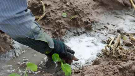 Эту обработку огорода нужно обязательно сделать осенью. Тогда урожай будет обильнее