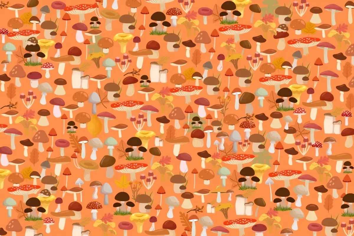 Сколько ёжиков на картинке? Только люди с соколиным зрением легко найдут всех