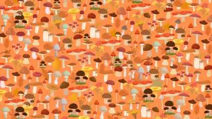 Сколько ёжиков на картинке? Только люди с соколиным зрением легко найдут всех