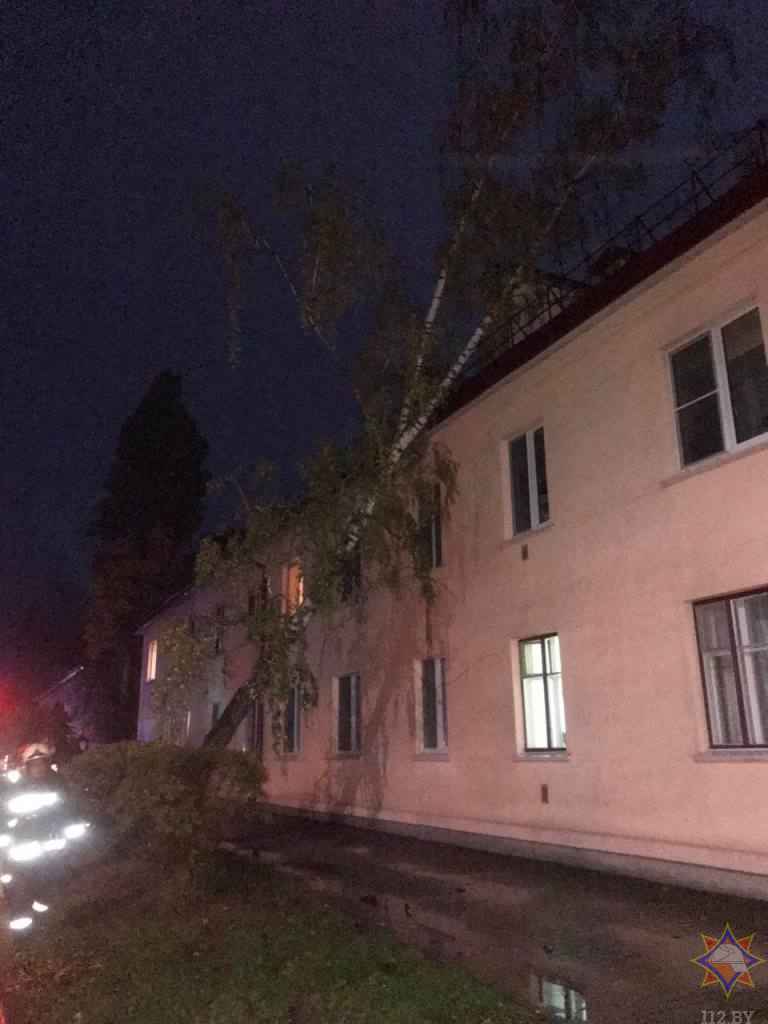 На Брестчине сильный ветер повалил деревья на жилую двухэтажку и повредил крыши на 5 дачных участках