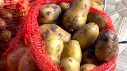 «Не видели, что покупали?» — Пенсионерка пожаловалась в TikTok на 3 сетки «вонючей» картошки с рынка. В комментариях развернулись дебаты