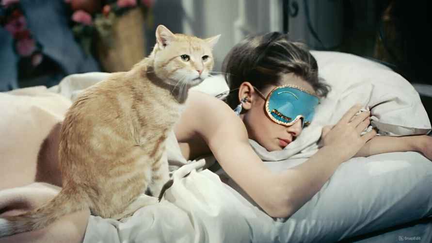 Иллюстрационное изображение