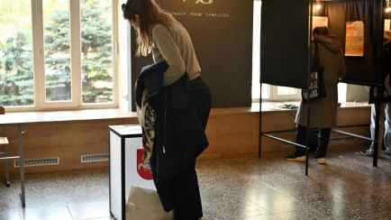 Литовская партия, предложившая отменить санкции против Беларуси, заняла 3 место. Как прошёл первый тур выборов в Сейм?