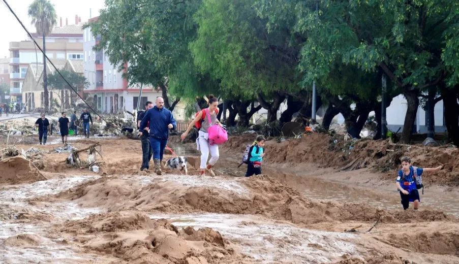 "Вода унесла наших собак и лошадей" — Из-за "смертоносного наводнения" в Испании погибло 95 человек