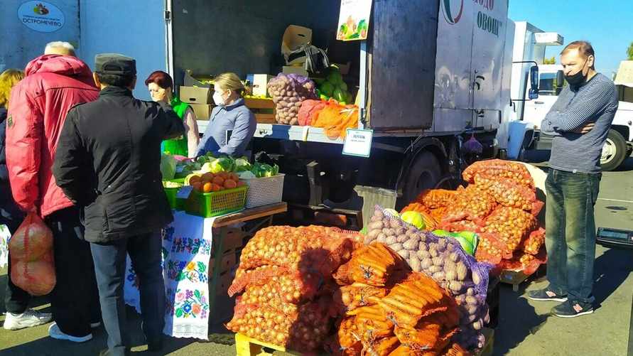 Глава МАРТ объяснил, почему в Беларуси решили ограничить вывоз капусты, лука и яблок