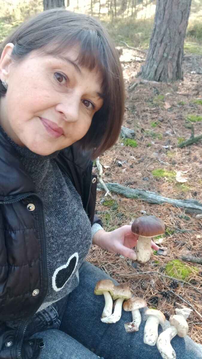 Лес особый?! Только для вас?! — Белоруска показала, где нашла три ведра опят в конце октября
