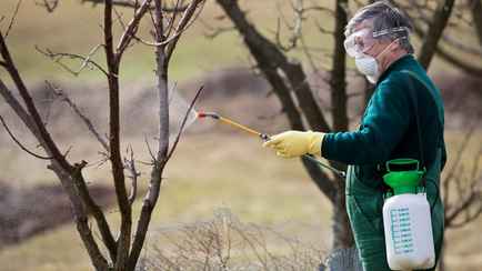 Когда осенью проводить обработку сада медным купоросом? Вот как не превратить полезное средство в яд