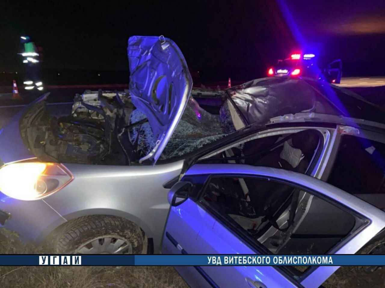 Лось убил водителя под Оршей