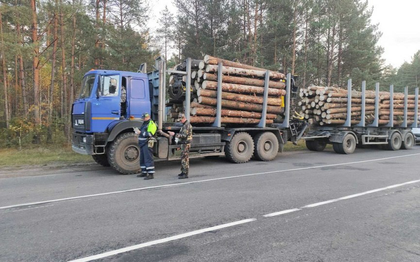 В Брестской области устроили "охоту" с помощью "глаз в небе". Кого, кроме водителей, ищут до конца года?