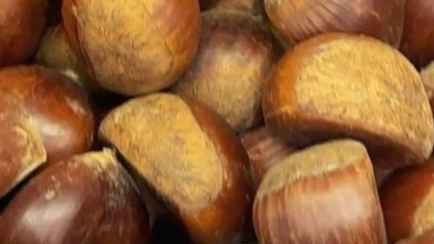 «Это не те, что на улице валяются?» — В гомельском магазине заметили каштаны в 22 раза дороже картошки