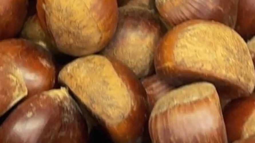 «Это не те, что на улице валяются?» - В гомельском магазине заметили каштаны в 22 раза дороже картошки
