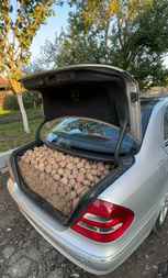 «Хоть кто-то машину по назначению использует» — Видео белоруса, который «немножко затарился» овощами, собрало 1,9 млн просмотров