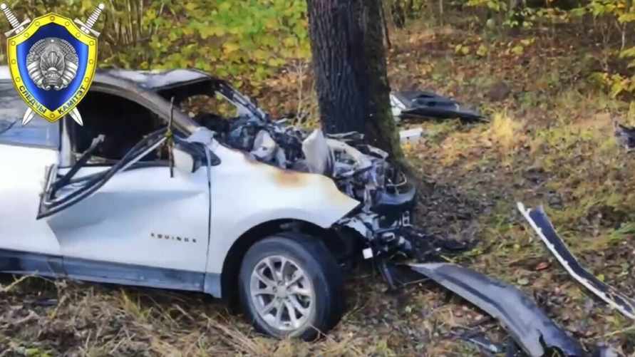 Скриншот: видео СК