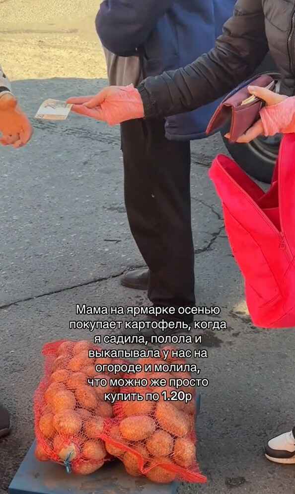 Зачем сажать овощи, если можно купить? В TikTok между белорусами разгорелась «вечная дискуссия». На чьей стороне вы?