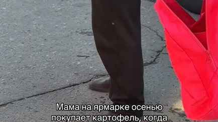 Зачем сажать овощи, если можно купить? В TikTok между белорусами разгорелась «вечная дискуссия». На чьей стороне вы?