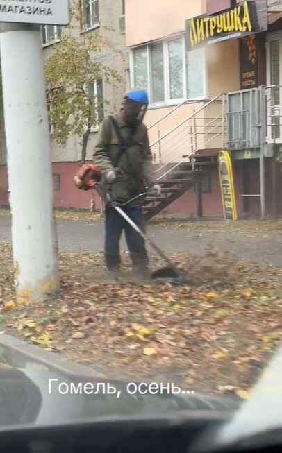 "Чтобы снег ровно лег" - В Гомеле показали покос осенней листвы