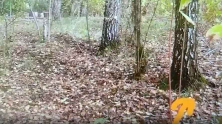 Скриншот: видео МВД Беларуси