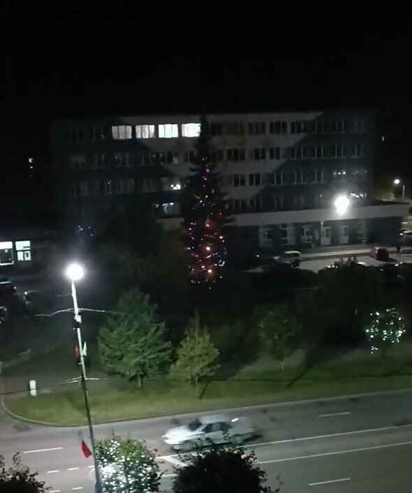 "Это вместо отопления" - В Новополоцке включили гирлянды на городской новогодней елке в октябре