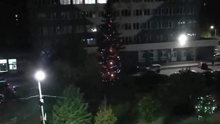 "Это вместо отопления" - В Новополоцке включили гирлянды на городской новогодней елке в октябре
