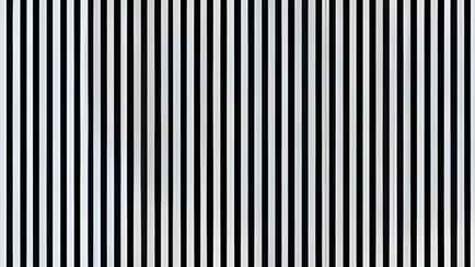 Только 1% людей увидит среди полос картинку? Узнайте, относитесь ли вы к их числу