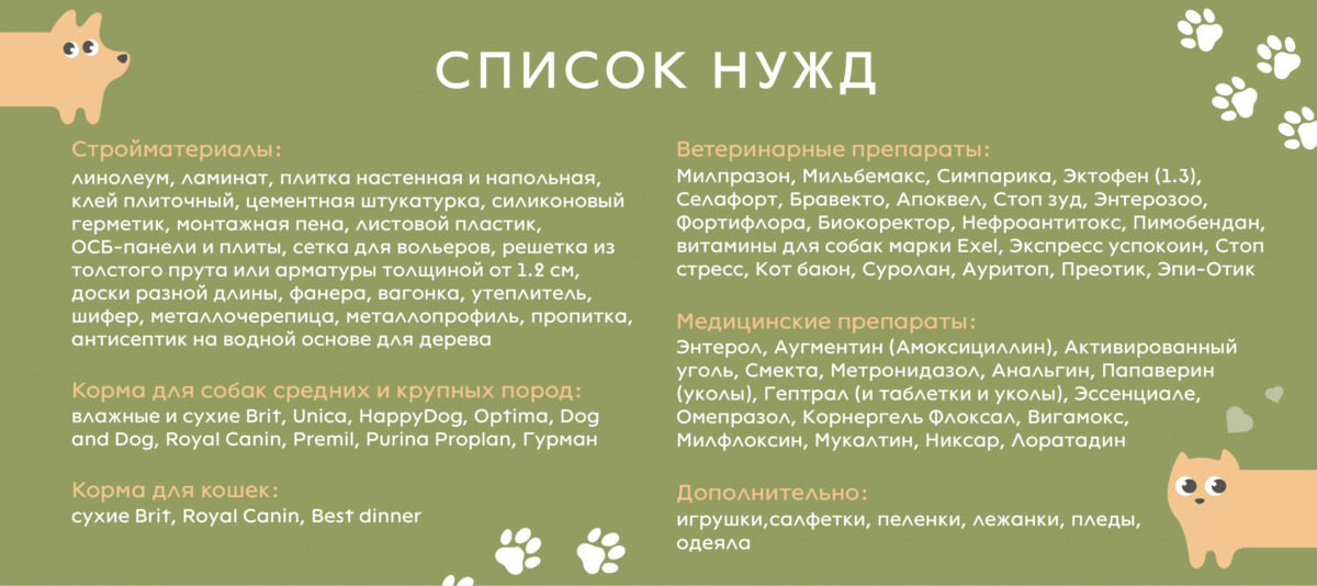 Минчан призвали не выбрасывать остатки стройматериалов. Куда их сдать, чтобы помочь бездомным животным?