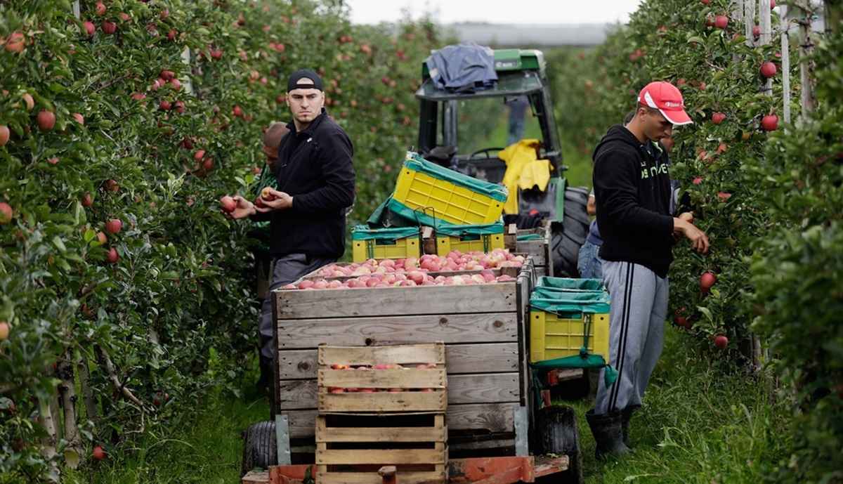 Фото иллюстрационное