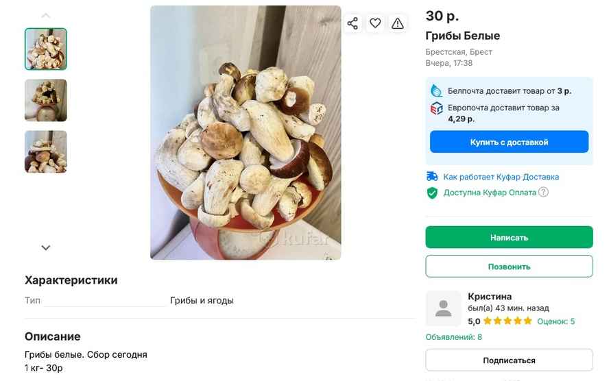 Опята – от 3 рублей, белые – от 25 рублей. Где белорусам закупиться грибами, пока в лесу «затишье»?