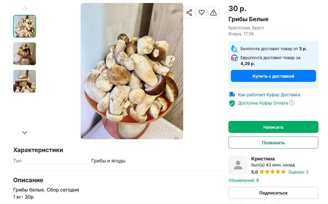 Опята – от 3 рублей, белые – от 25 рублей. Где белорусам закупиться грибами, пока в лесу «затишье»?